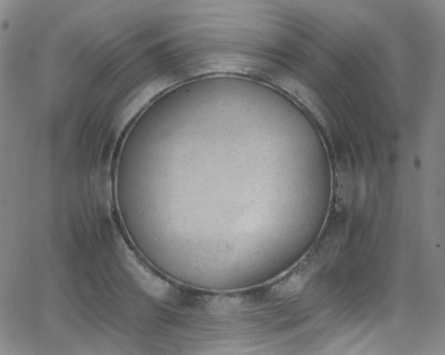 X0000062870890200601131438