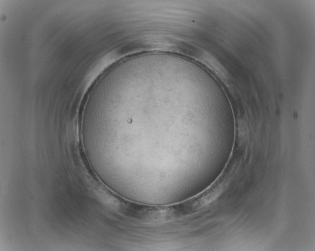 X0000062870891200601131438