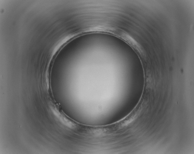 X0000062870892200601131438