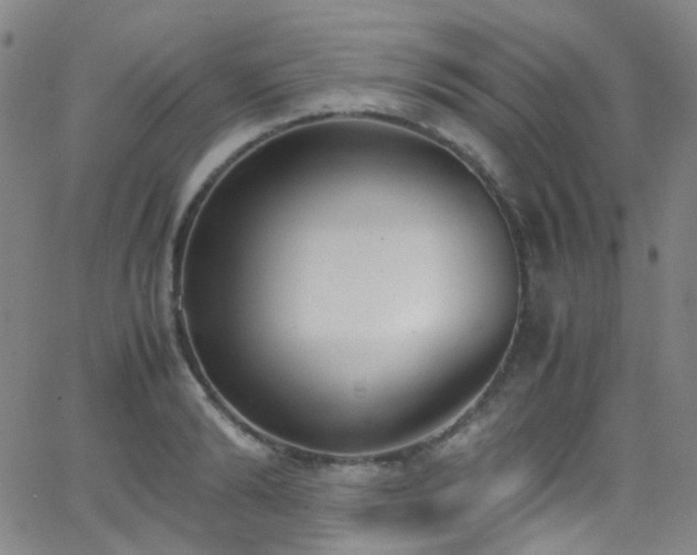 X0000062870894200601131438