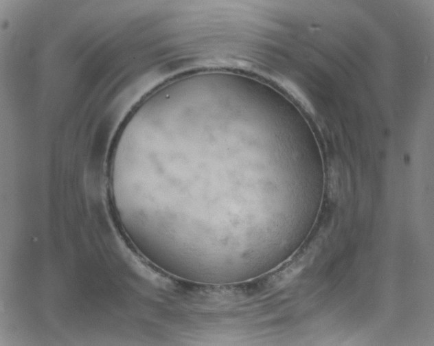 X0000062870895200601131438