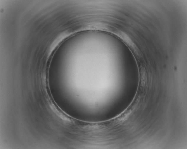 X0000062870896200601131438