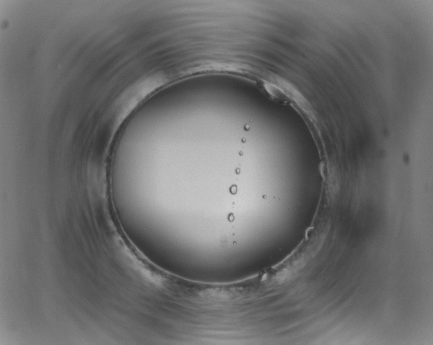 X0000062870898200601131438