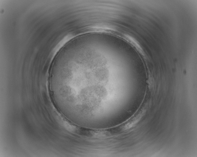 X0000062870899200601131438