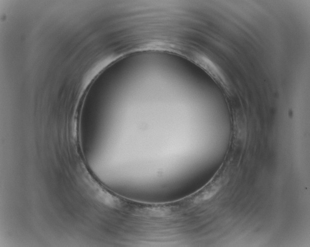 X0000062870900200601131438