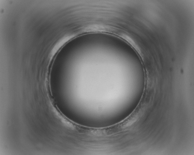 X0000062870901200601131438