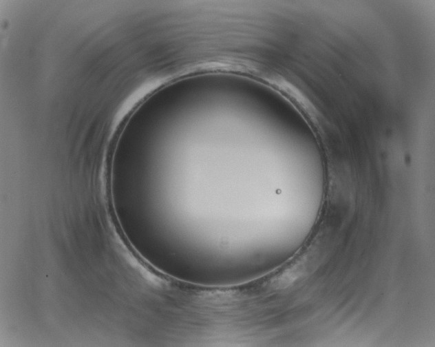 X0000062870902200601131438