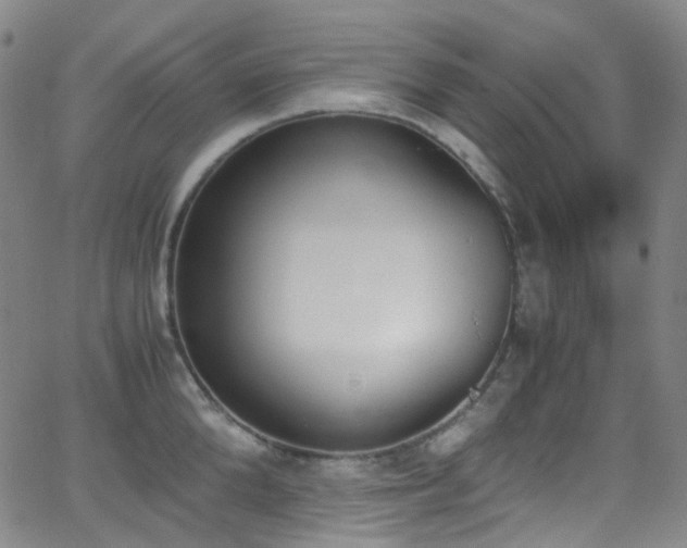 X0000062870904200601131438