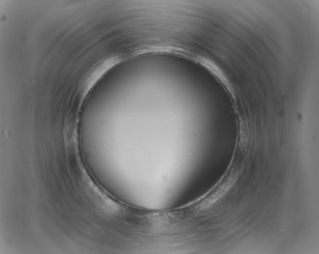 X0000062870906200601131438