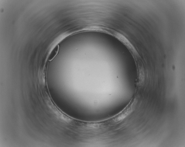 X0000062870908200601131438