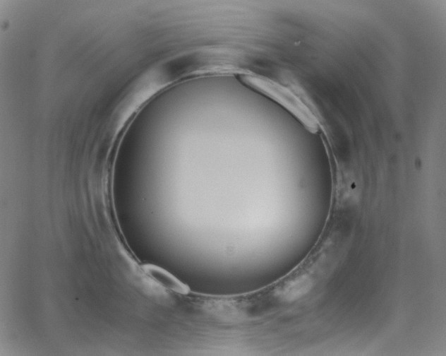 X0000062870909200601131438