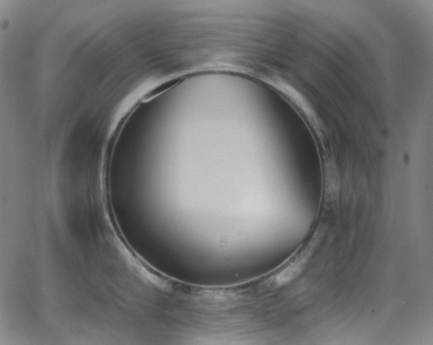 X0000062870910200601131438