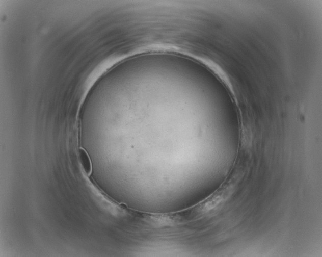 X0000062870911200601131438