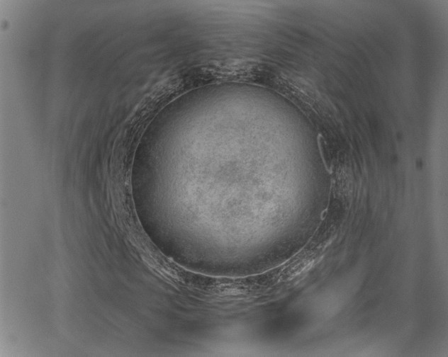 X0000062870913200601131437