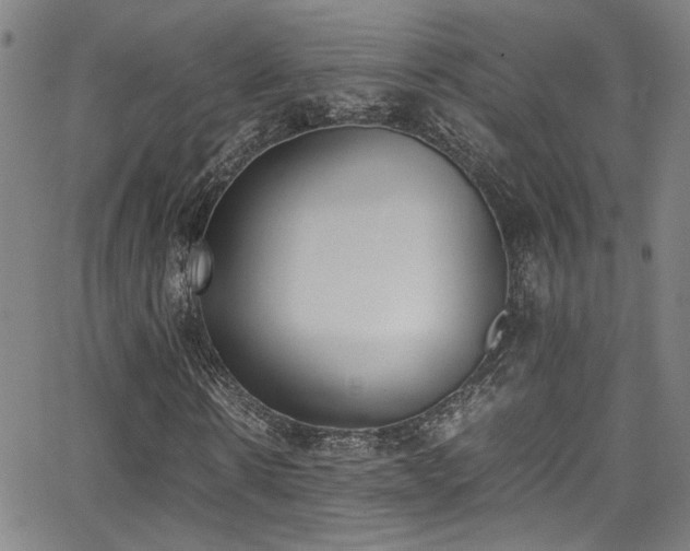 X0000062870914200601131437