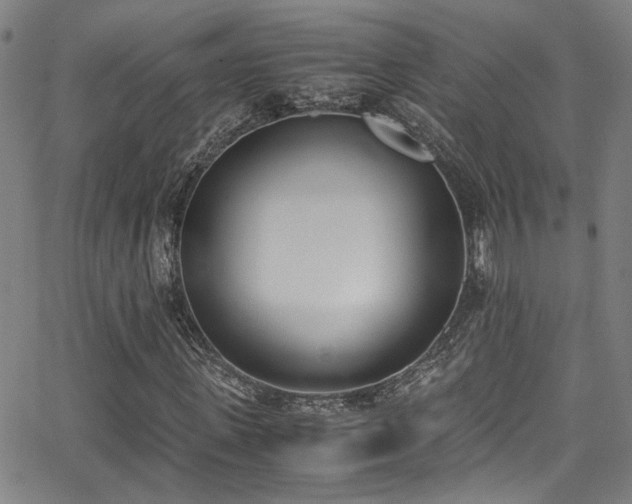 X0000062870915200601131437