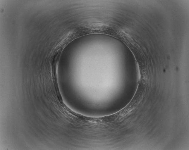 X0000062870916200601131437