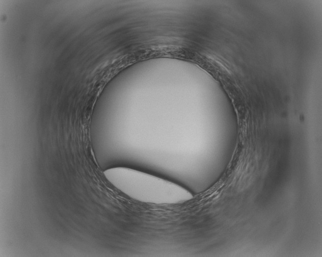 X0000062870917200601131437