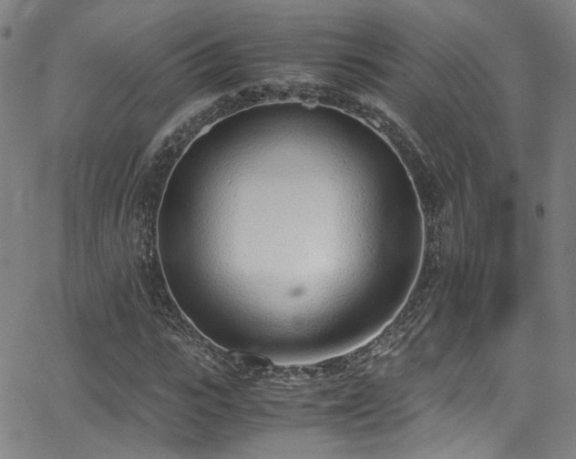 X0000062870919200601131437