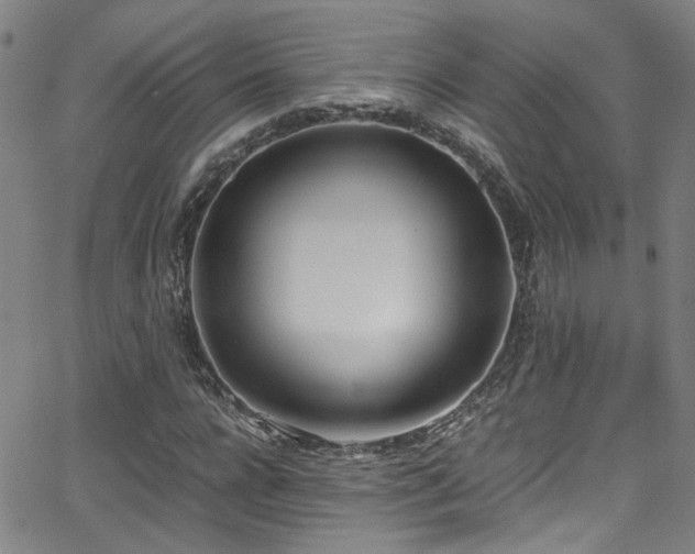 X0000062870920200601131437