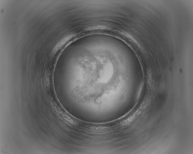 X0000062870921200601131437