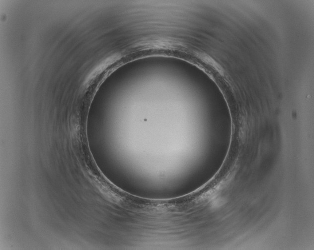 X0000062870922200601131437