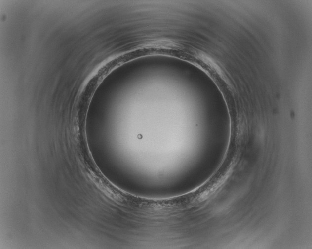 X0000062870923200601131437