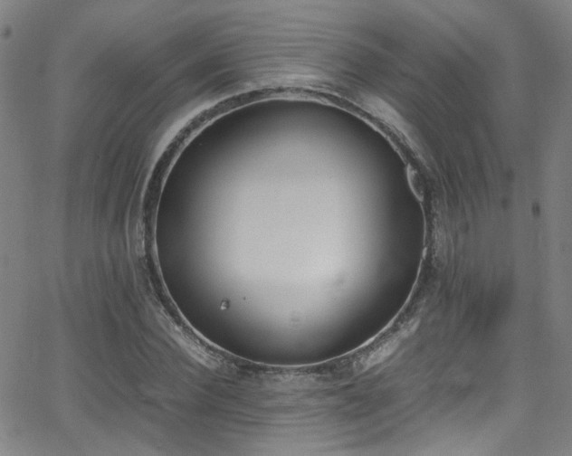 X0000062870924200601131437