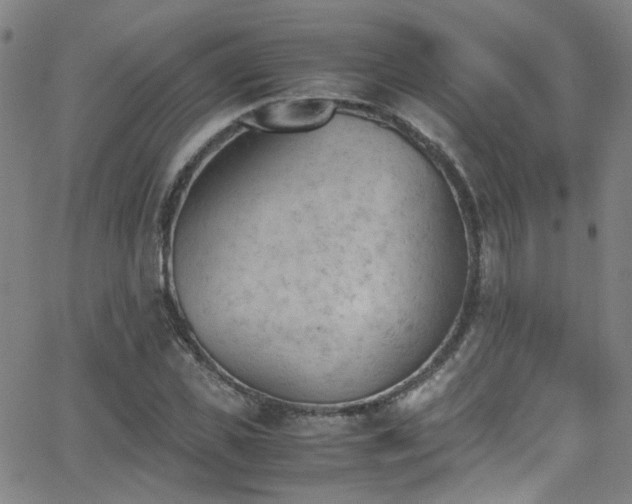 X0000062870925200601131437