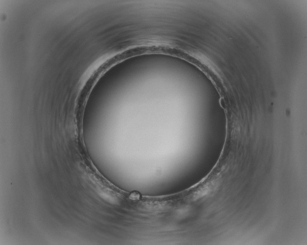 X0000062870927200601131437