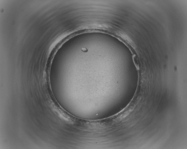 X0000062870928200601131437