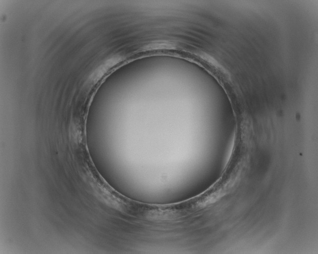 X0000062870929200601131437