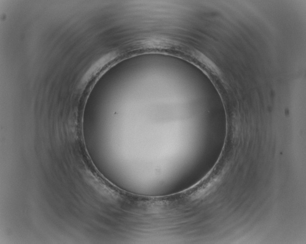 X0000062870930200601131437