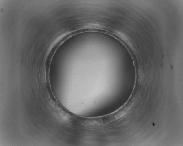 X0000062870931200601131437