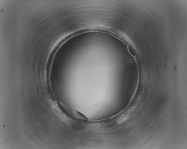 X0000062870932200601131437