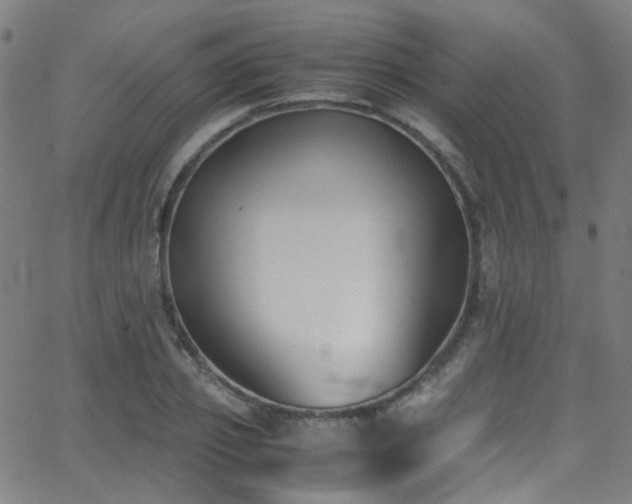 X0000062870933200601131437