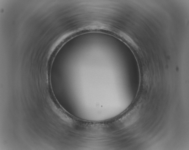 X0000062870934200601131437