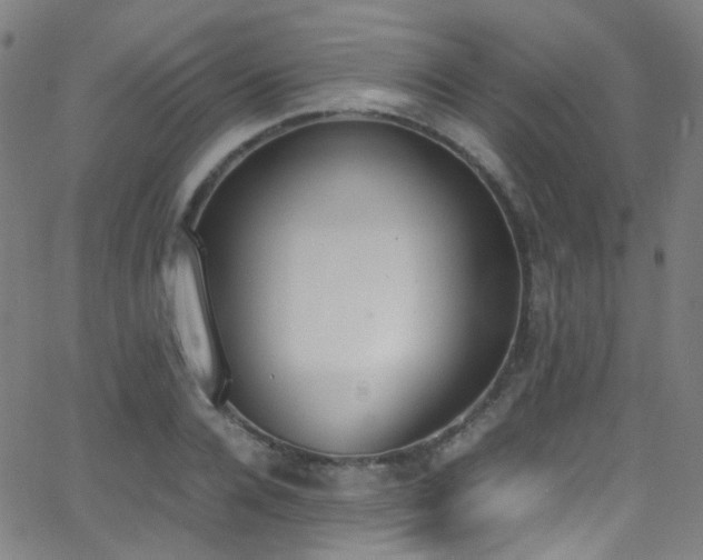 X0000062870936200601131438