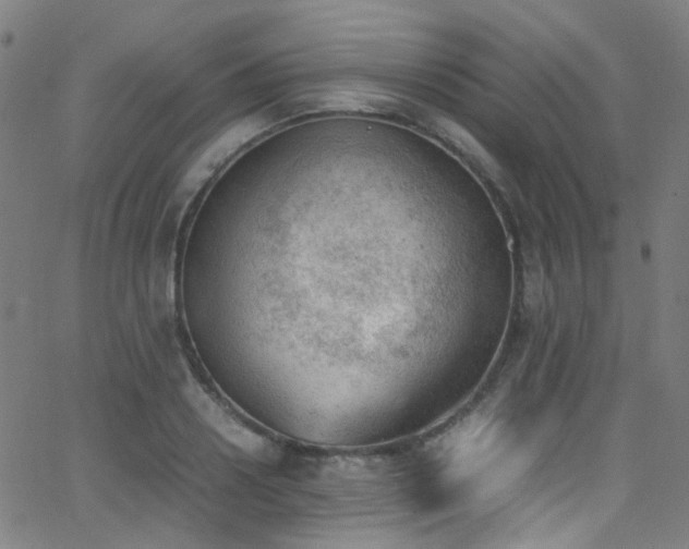 X0000062870938200601131438