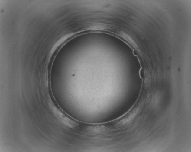 X0000062870939200601131438