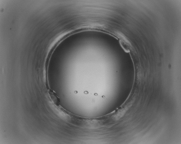 X0000062870940200601131438