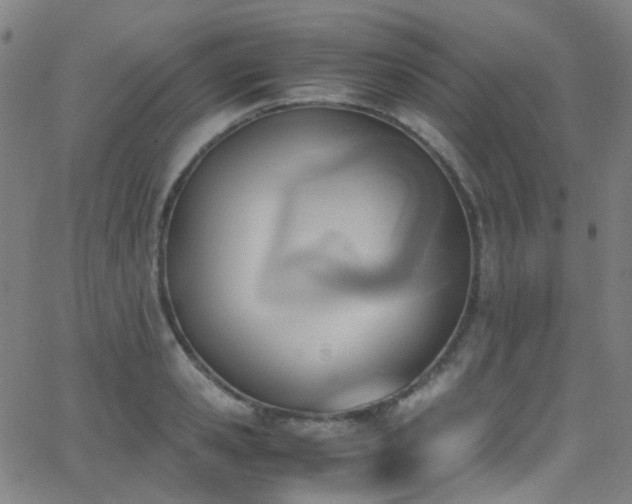 X0000062870941200601131438