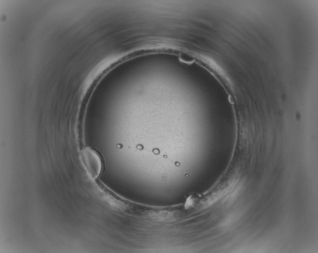 X0000062870943200601131438