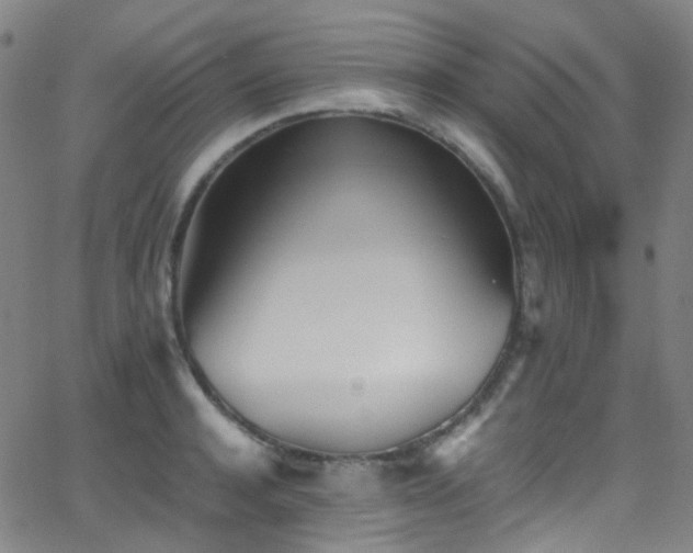 X0000062870944200601131438