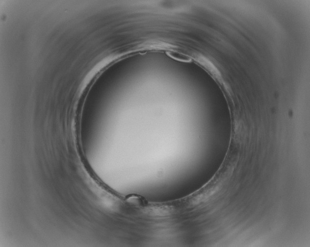 X0000062870947200601131438