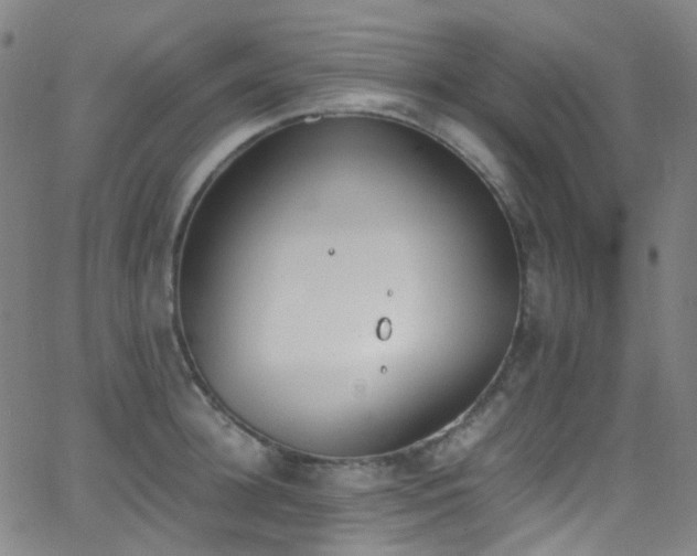 X0000062870948200601131438