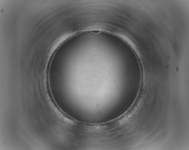 X0000062870949200601131438