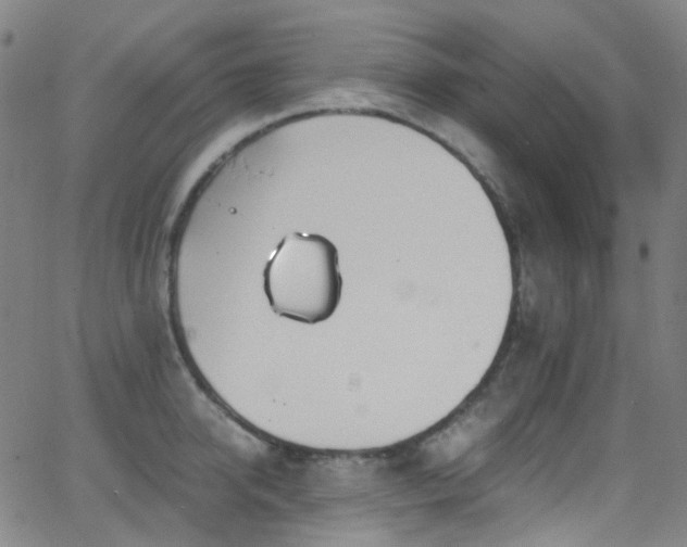 X0000062870950200601131438