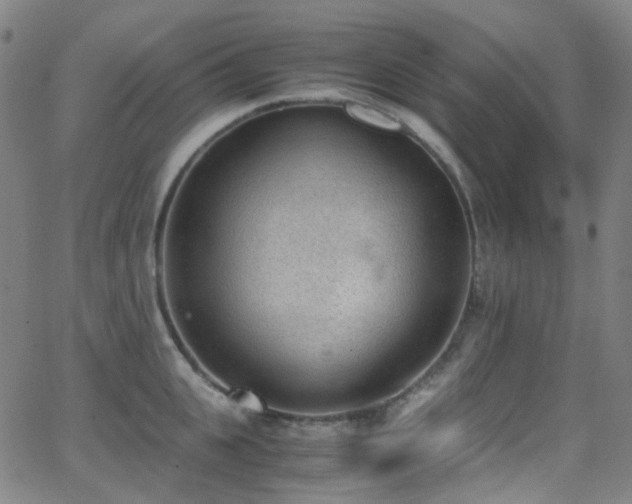 X0000062870951200601131438