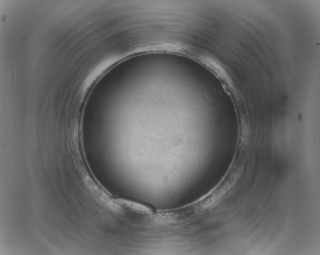 X0000062870952200601131438